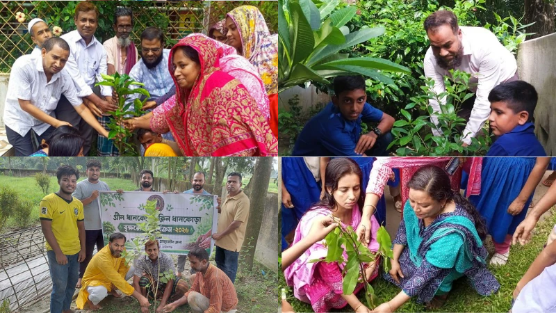 শিক্ষক, শিক্ষার্থীসহ ক্লাবের সদস্যরাও বৃক্ষ রোপণে অংশ গ্রহণ করছেন