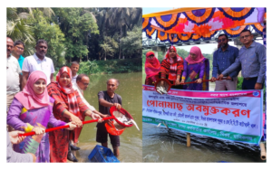 ঘিওরে মুক্ত জলাশয়ে ২৭২ কেজি পোনা মাছ অবমুক্ত ​