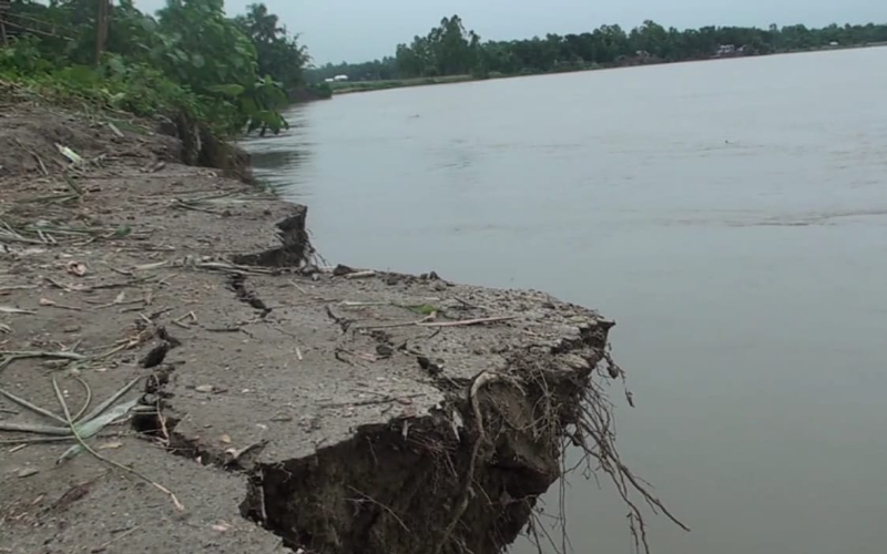নদী তীরবর্তী এলাকায় তীব্র ভাঙনের ফলে ভেঙে পড়া মাটির পাড়